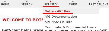 Заходим в раздел «API INFO» — «Get An API Key»